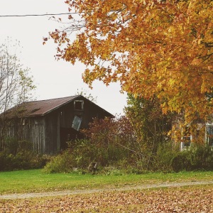 The Original Barn Photo